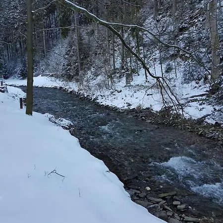 In The Upper Harz In Wildemann