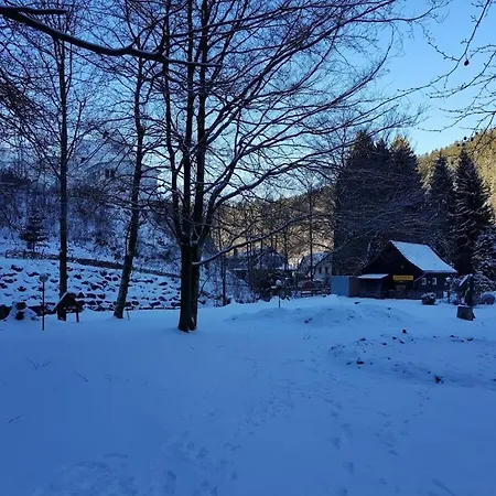 In The Upper Harz In * فيلديمان