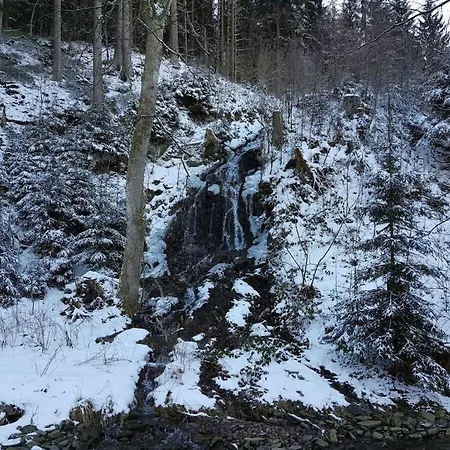 In The Upper Harz In Holiday home